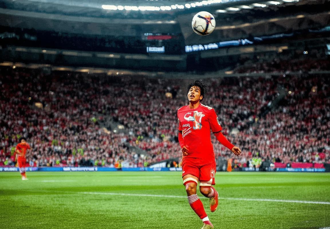 2017广州恒大辉煌赛季：团队协作铸就足球传奇(图2)